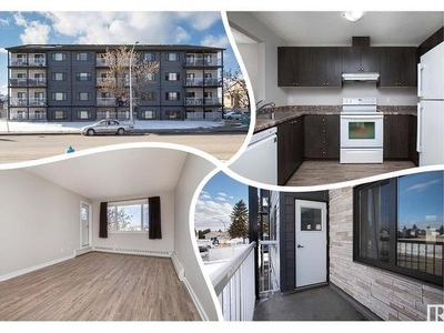 Condo For Sale In Fraser, Edmonton, Alberta