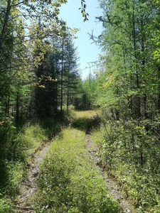 Lot 25 Concession 4 ,Lowther Township ,Cochrane District,Hwy 583