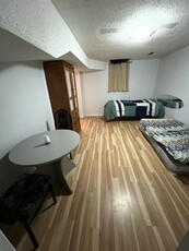 1 Master Room rental in basement near Sheridan Brampton