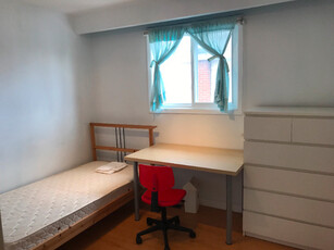 Near Seneca Collage upstairs room rent for girl