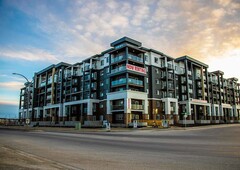 Calgary Pet Friendly Apartment For Rent | Skyview | 10+ Different Layouts with One