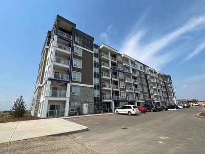 Edmonton Pet Friendly Apartment For Rent | Heritage Valley | Suites Available Contact us Today