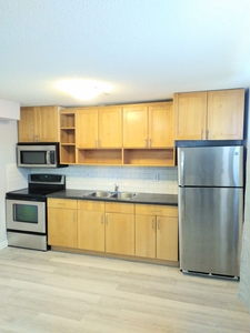 Calgary Pet Friendly Basement For Rent | Spruce Cliff | Newly Renovated Beautiful 2 bedrooms