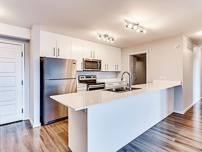 Calgary Pet Friendly Apartment For Rent | Skyview | Modern One, Two and Three