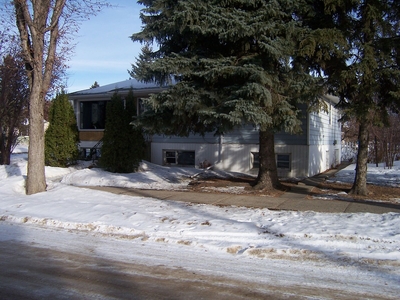 Edmonton Apartment For Rent | Hazeldean | (PN0111) Large Basement Suite in