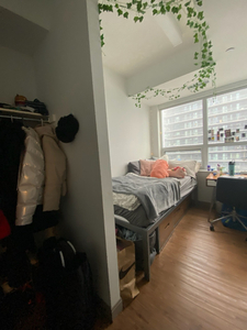 Room in 4-bedroom, all girls, dorm-style apartment @ HOEM