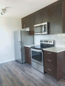 Calgary Apartment For Rent | Bankview | ALL RENOVATED SUITES- inc. 1