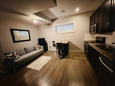 Edmonton Pet Friendly Basement For Rent | Rosenthal | Cozy 1 Bedroom Basement Suite