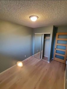 Calgary Pet Friendly Room For Rent For Rent | Temple | Private Room for Rent in