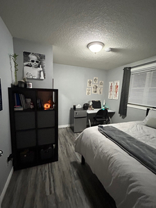 4 month Sublet for a Students