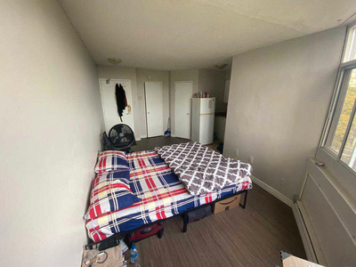 apartment available for rent downtown toronto female march only