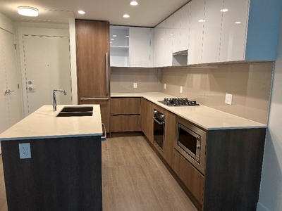 Brand New 1 bed/1 bath East Facing Apartment for rent