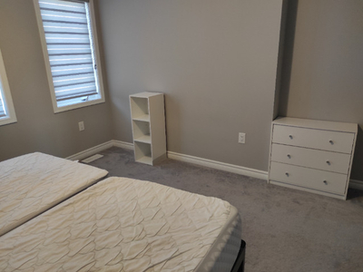 Large furnished bedroom available for females in Brampton