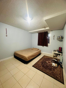 One bedroom walkout basement for rent