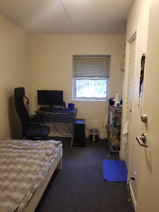 Spring Term Sublet | 134 Columbia St W | $800 | (Male only)