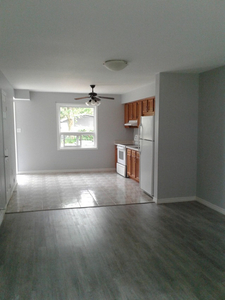 2-bedroom townhome in town of Alvinston for rent
