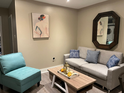 Downtown Furnished 1 Bedroom Apartment available April 1st