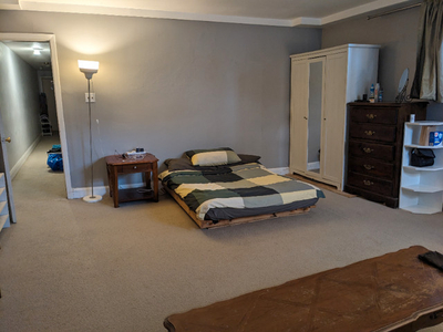 Extra Large Room in Lower Level Apt in the Annex