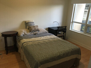 Downtown Toronto condo for share Roommate wanted