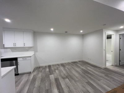 A new legal One bedroom basement suite in Seton, SE Calgary