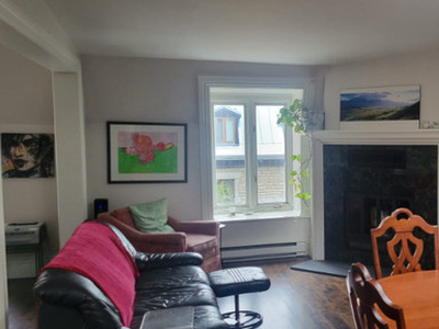 Beautiful Winter Sublet Downtown Montreal (near McGill)