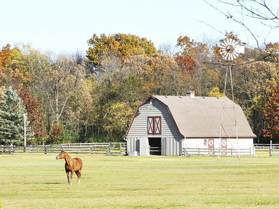 In search of barn with pasture