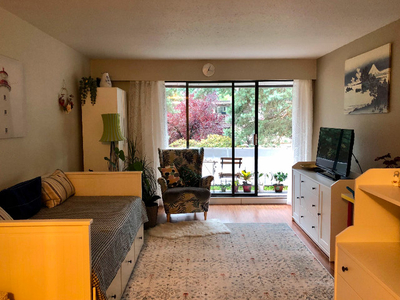 Large 1 bedroom suite | Orchard Inn (Burnaby)