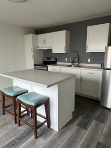 Newly renovated 1 bedroom plus available NOW