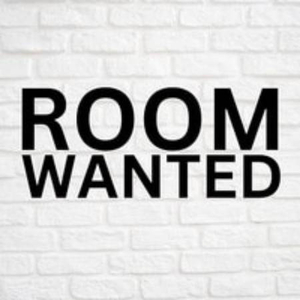Room / sharing wanted