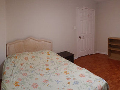 Sheridan College Area Room for rent