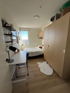 3 bedroom apartment sublet