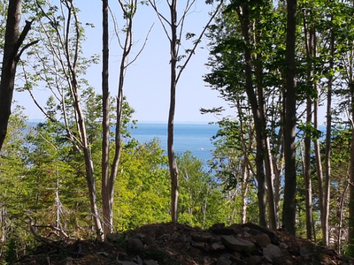 5.6 Acre OCEAN VIEW Vacant Land For Sale (Near Digby, NS)