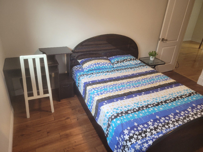 Airy and bright one-bedroom for Female Only in Mississauga!