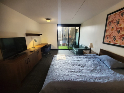 Alma Student Residence -- 1 Bed 1 Bath Apartment