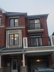 BRAND NEW FULLY DEVELOPED TOWNHOUSE FOR LEASE(MT. PLEASANT AREA)