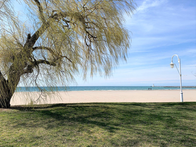 Cobourg: Whole 2 bdrm furnished house by beach/town, 2-4mth rent