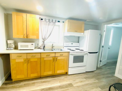 Downtown 1 bdrm, fully-furnished. Laundry, utilities & wifi.