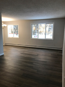 Fully Renovated, Spacious 1-bedroom Condo In West Edmonton