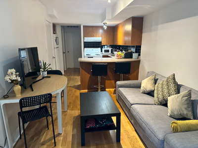 Furnished 2 BR Jarvis & Carlton Downtown Toronto