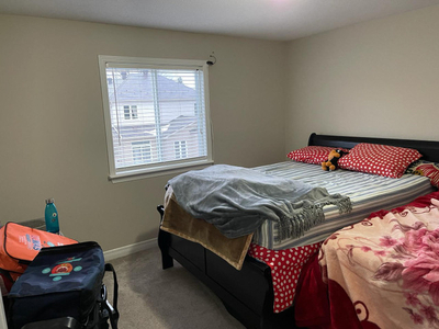 Large bedroom available for rent