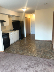 One bedroom newly remodeled apartment
