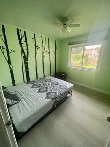Room for rent from May 1