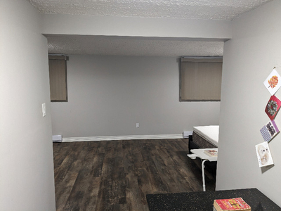 Spacious basement suite available for rent