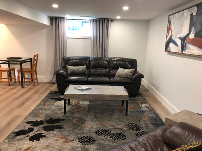 Freshly furnished, basement suite