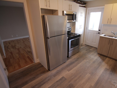 Hintonburg Renovated One Bedroom Apartment for Rent