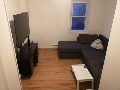 Looking for a roommate