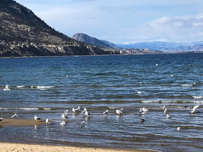 Penticton bc, Home/Apartment for Sale, Waterfront,Central Beach