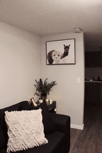 Calgary Basement For Rent | Beddington | Cozy Basement Suite
