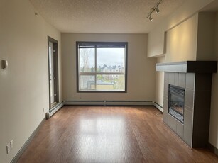 Calgary Pet Friendly Condo Unit For Rent | South Calgary | Bright and Sunny 1 Bedroom