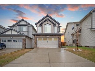 House For Sale In Skyview Ranch, Calgary, Alberta
